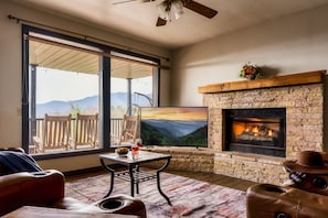 Smart TV, fireplace, video games, books