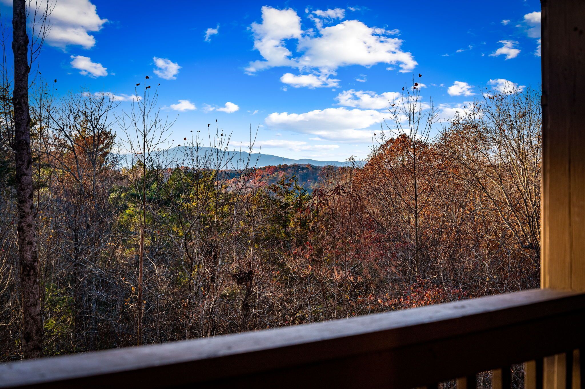 A view from a balcony overlooking a forested area with a clear sky.