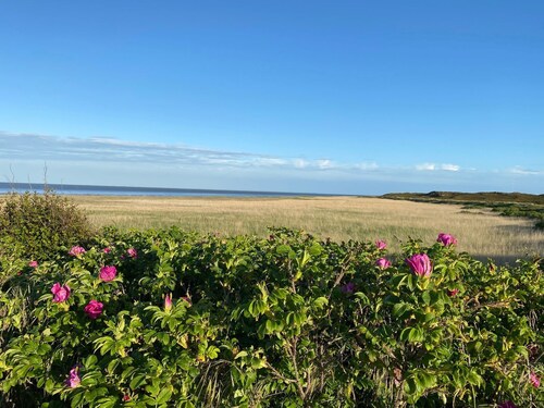 Wattkieker-steinum - Ferienwohnung Unter Reet mit Atemberaubenden Blick auf das Wattenmeer