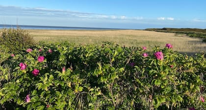 Wattkieker-steinum - Ferienwohnung Unter Reet mit Atemberaubenden Blick auf das Wattenmeer