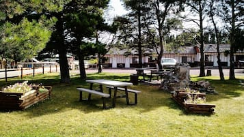 BBQ/picnic Area