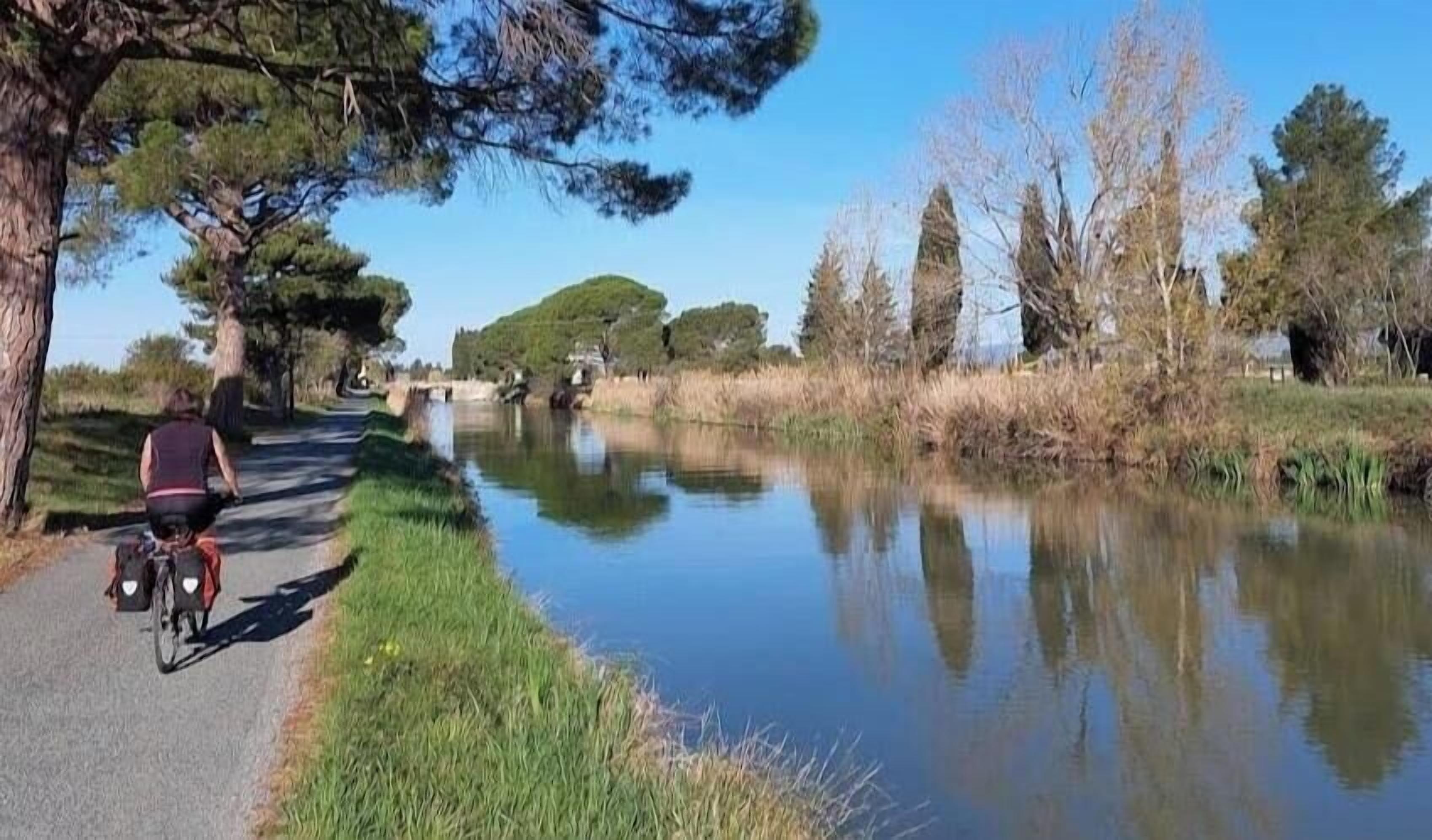 A tranquil riverside path with a cyclist, surrounded by trees and a calm water body.