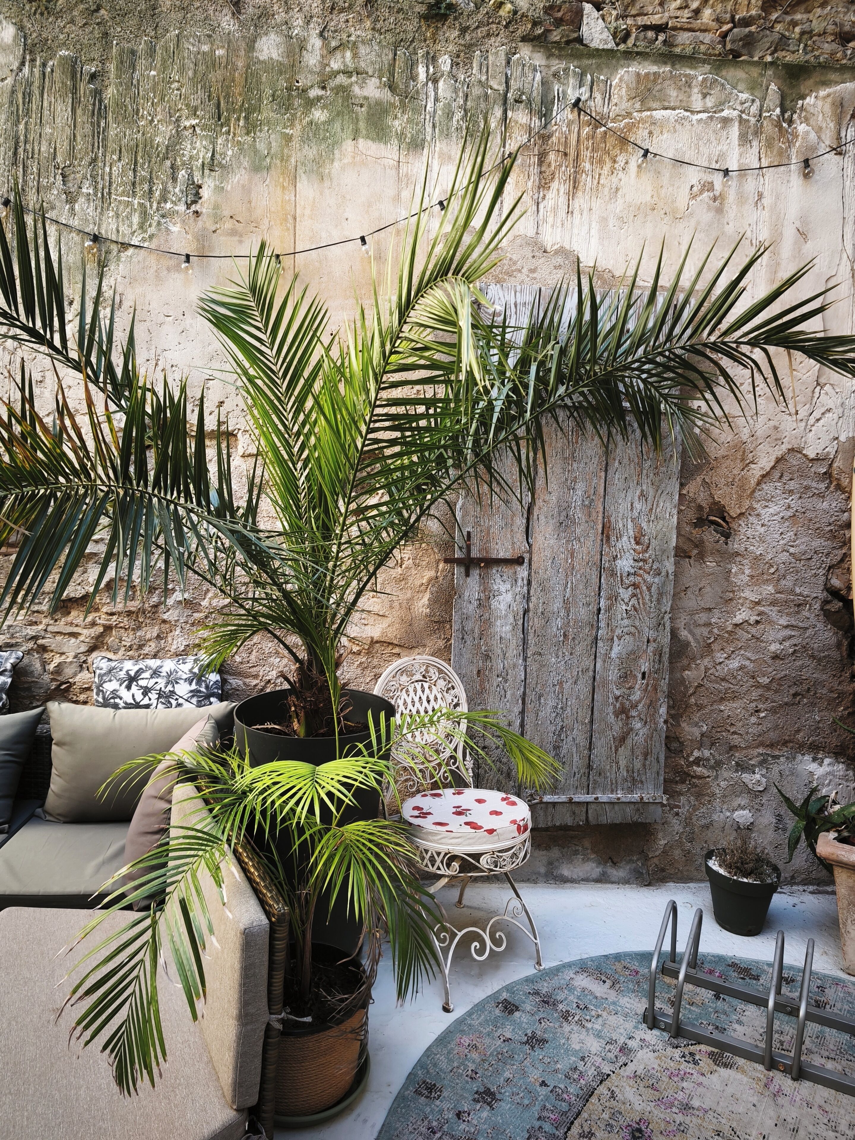 Terraza o patio