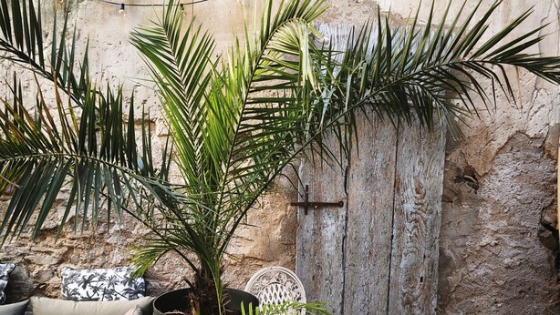 Un espace extérieur aménagé dans un style rustique, avec une chaise en fer forgé, une table ronde et des plantes en pot.