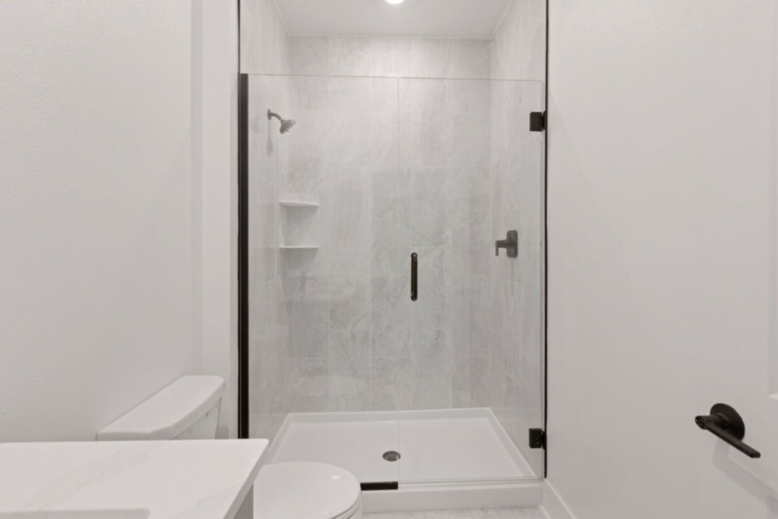 A modern bathroom with a glass-enclosed shower, a toilet, and a sink.