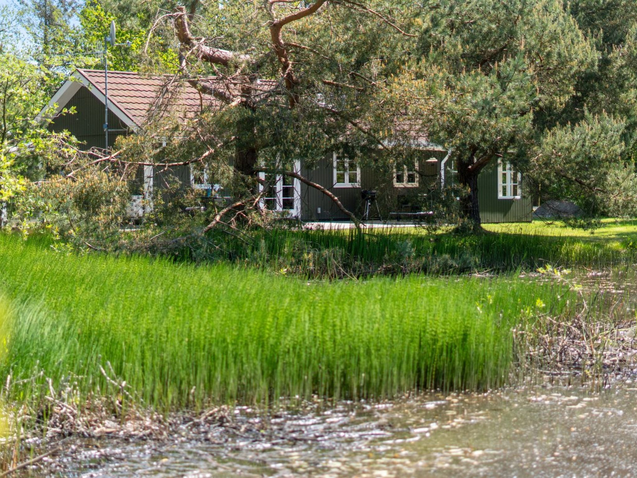 Une maison avec un toit en pente, entourée d’un champ herbeux et d’un petit étang.