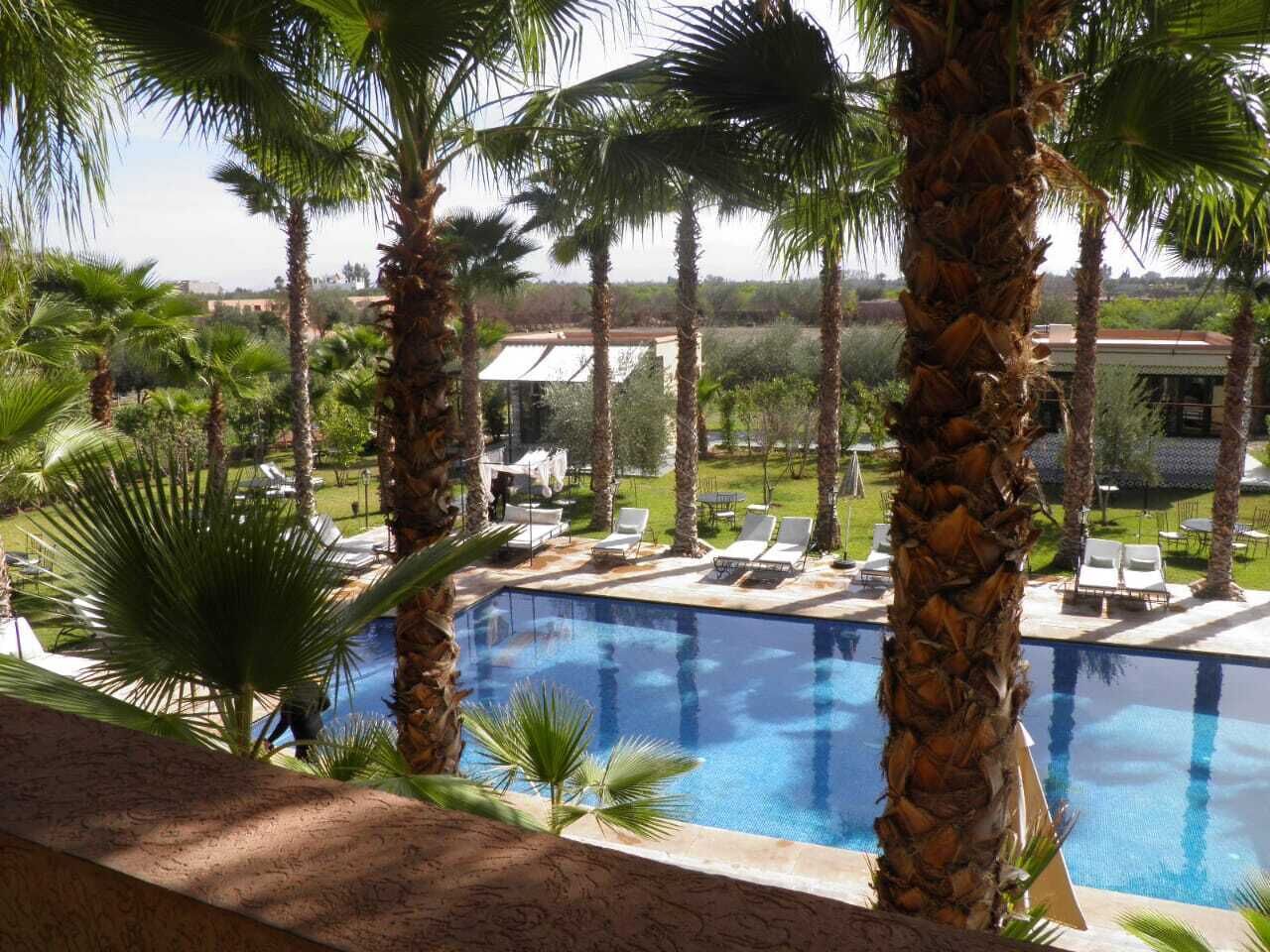 حمام سباحة