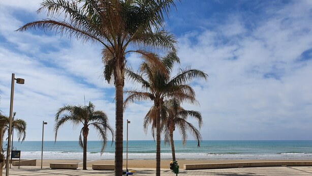 A beachside promenade with palm trees, a tiled walkway, and a view of the ocean. - Appartamento Ecate (Ragusa)