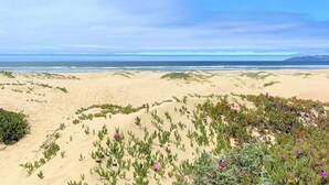 En strand med sanddyner och gles vegetation.