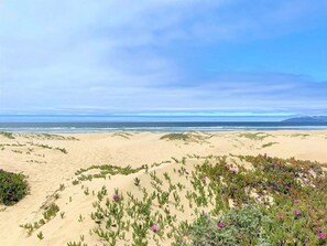 On the beach, sun-loungers, beach towels