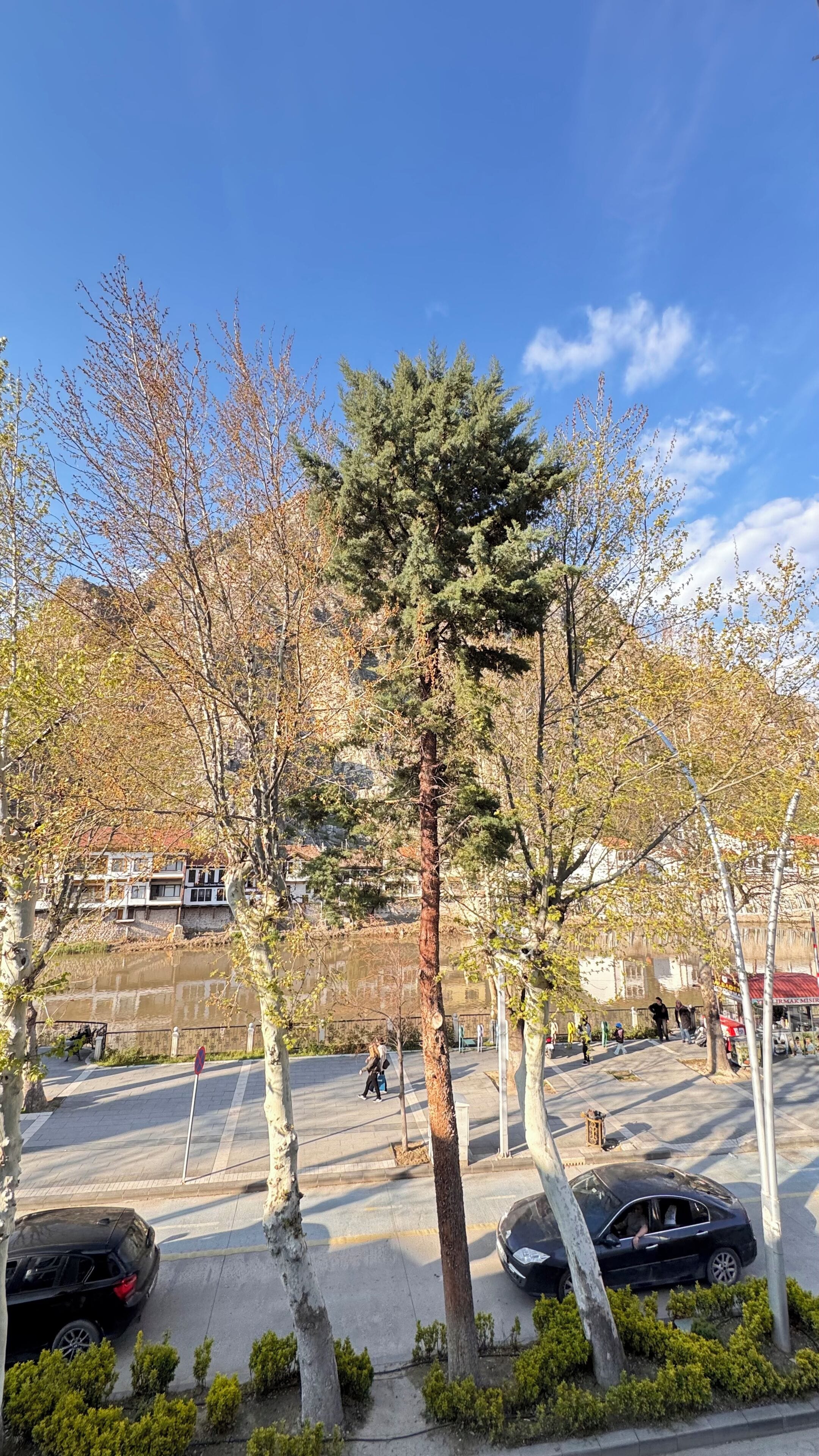 A parking area with trees, a pedestrian path, and a body of water in the background.
