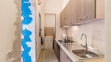 Apartament clàssic | Cuina privada | Frigorífic gran, forn, placa de cuina i cafetera exprés
