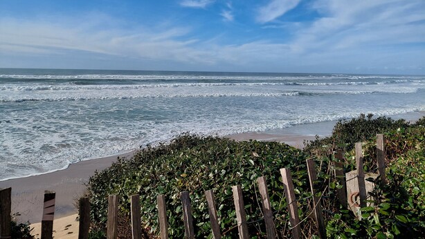 Une vue sur la côte, avec des vagues, une clôture en bois et une végétation luxuriante.