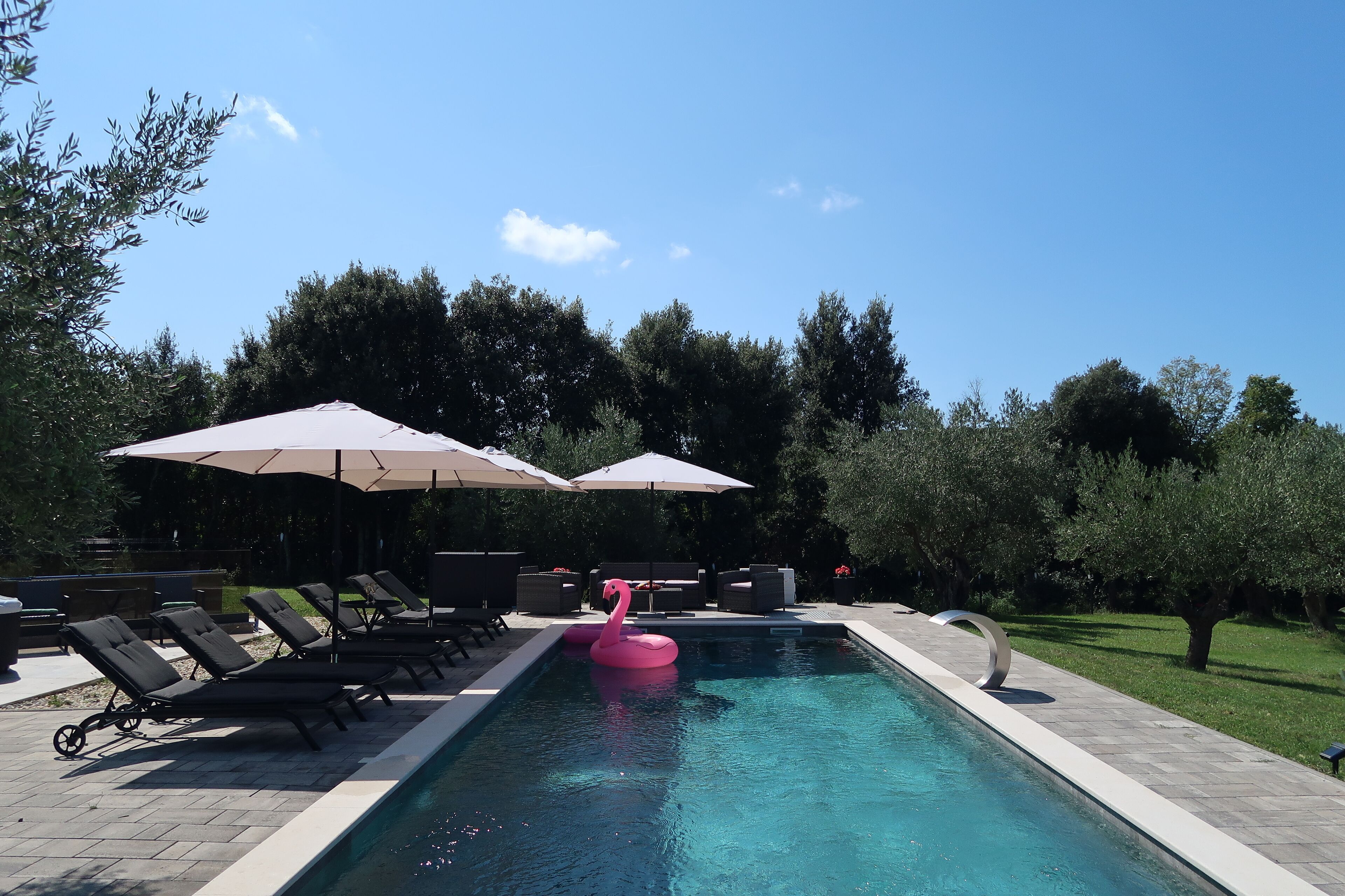 A swimming pool with lounge chairs and umbrellas, surrounded by trees.