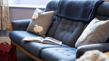 Fernseher, Kamin, Arbeitsbereiche