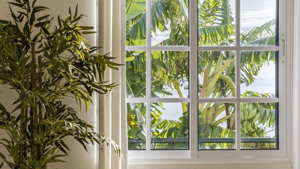 A room with a large window, a potted plant, and a view of a banana tree outside. - Sunny House by Homie (Ponta do Sol)