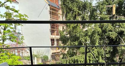 Vienna classic with love