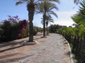 Property grounds - Les Deux Palmiers Chambres , un Endroit Pour Faire la Fête à Marrakech (Marrakech)