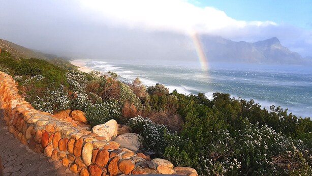 Paesaggio costiero con un muro di pietra, piante in fiore e vista sull'oceano con un arcobaleno.