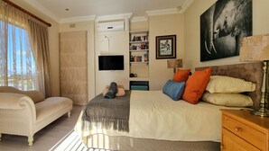 Una camera da letto con un letto, un divano, una TV, una libreria e una finestra con tende.