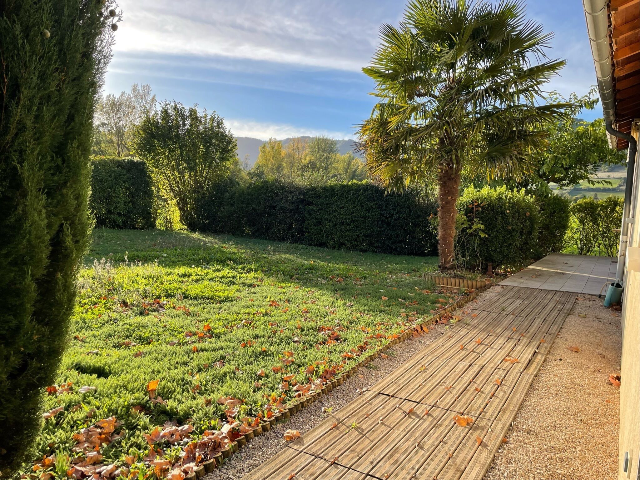Ein Garten mit Holzterrasse, diversen Pflanzen und einem großen Baum.