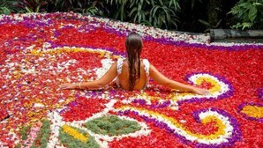 A person lying on a bed of colorful flower petals with a patterned design. - Arvanya Villa Ubud (Tegallalang)