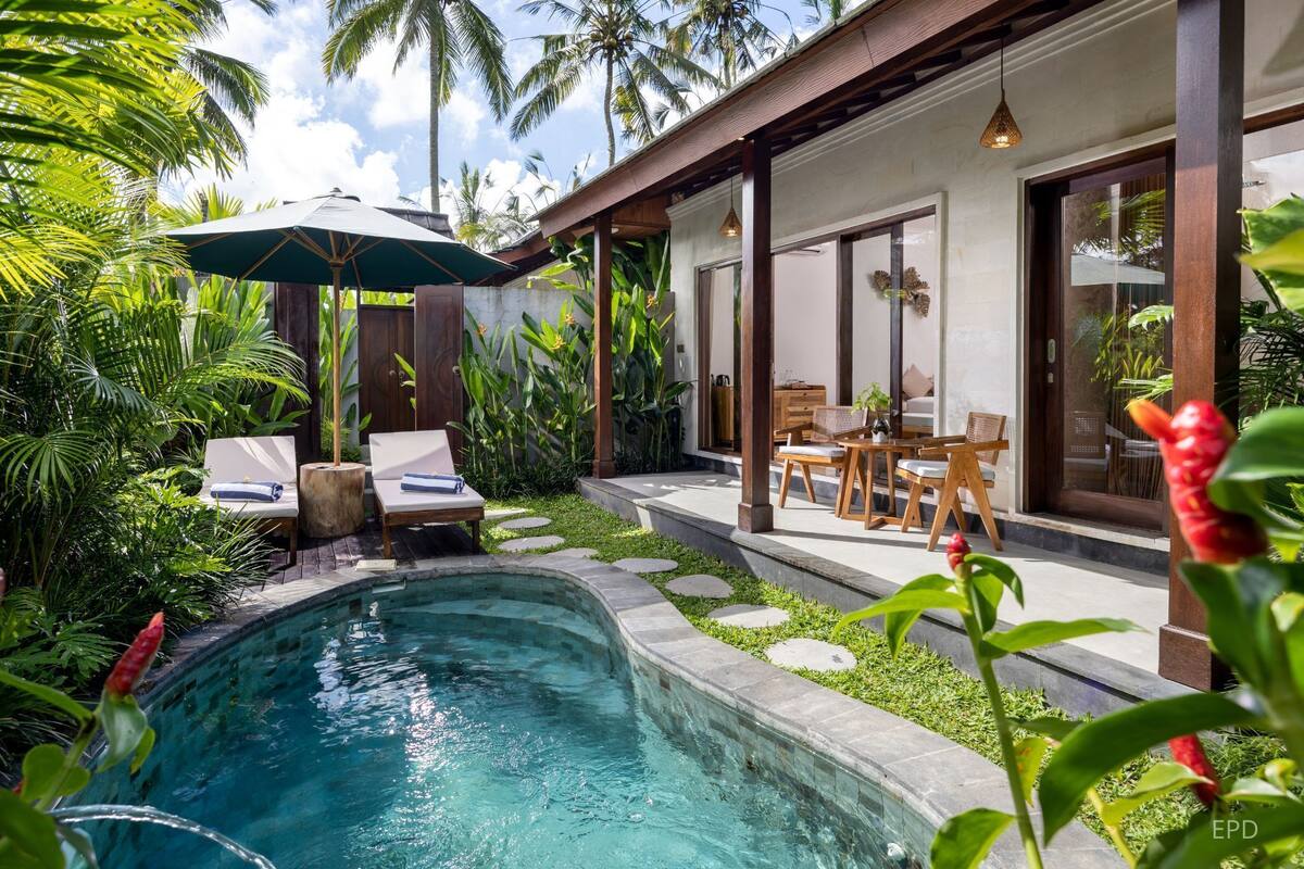Un espace piscine aménagé avec des chaises longues et une table, entouré de plantes tropicales et doté d’une terrasse en bois.