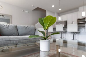 Fernseher, Tischtennisplatte