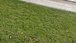 Una piscina con borde de baldosas, rodeada de césped y una hilera de edificios blancos al fondo.