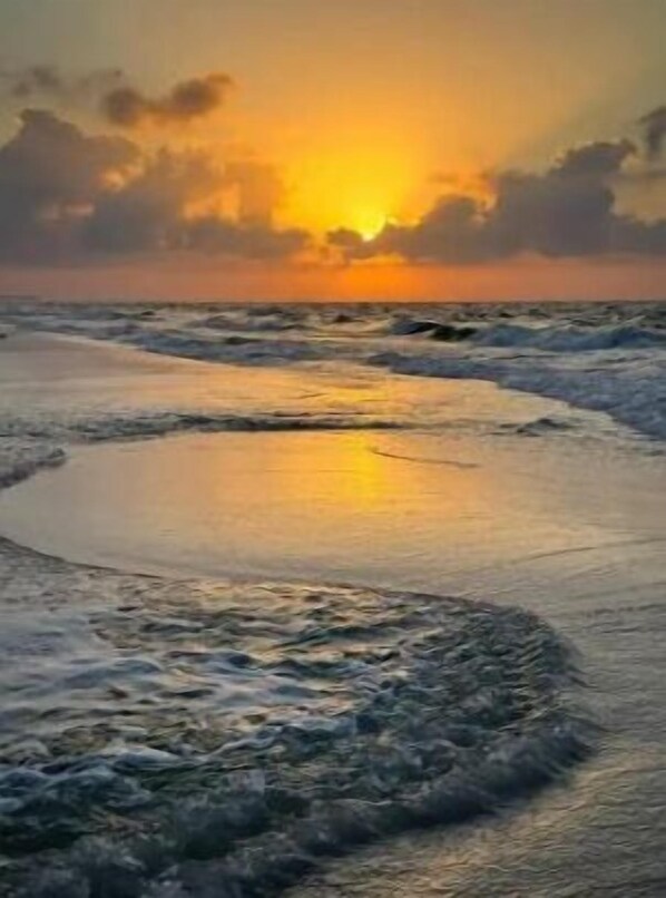 Beach - Navarre Family vacation retreat. Winter discounts! Apartment 1 (Shimla)