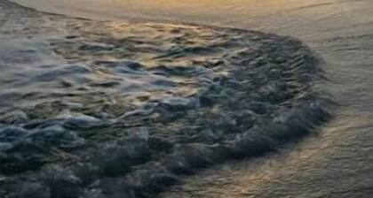 Navarre Family vacation retreat. Winter discounts! Apartment 1