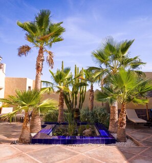 Área da propriedade