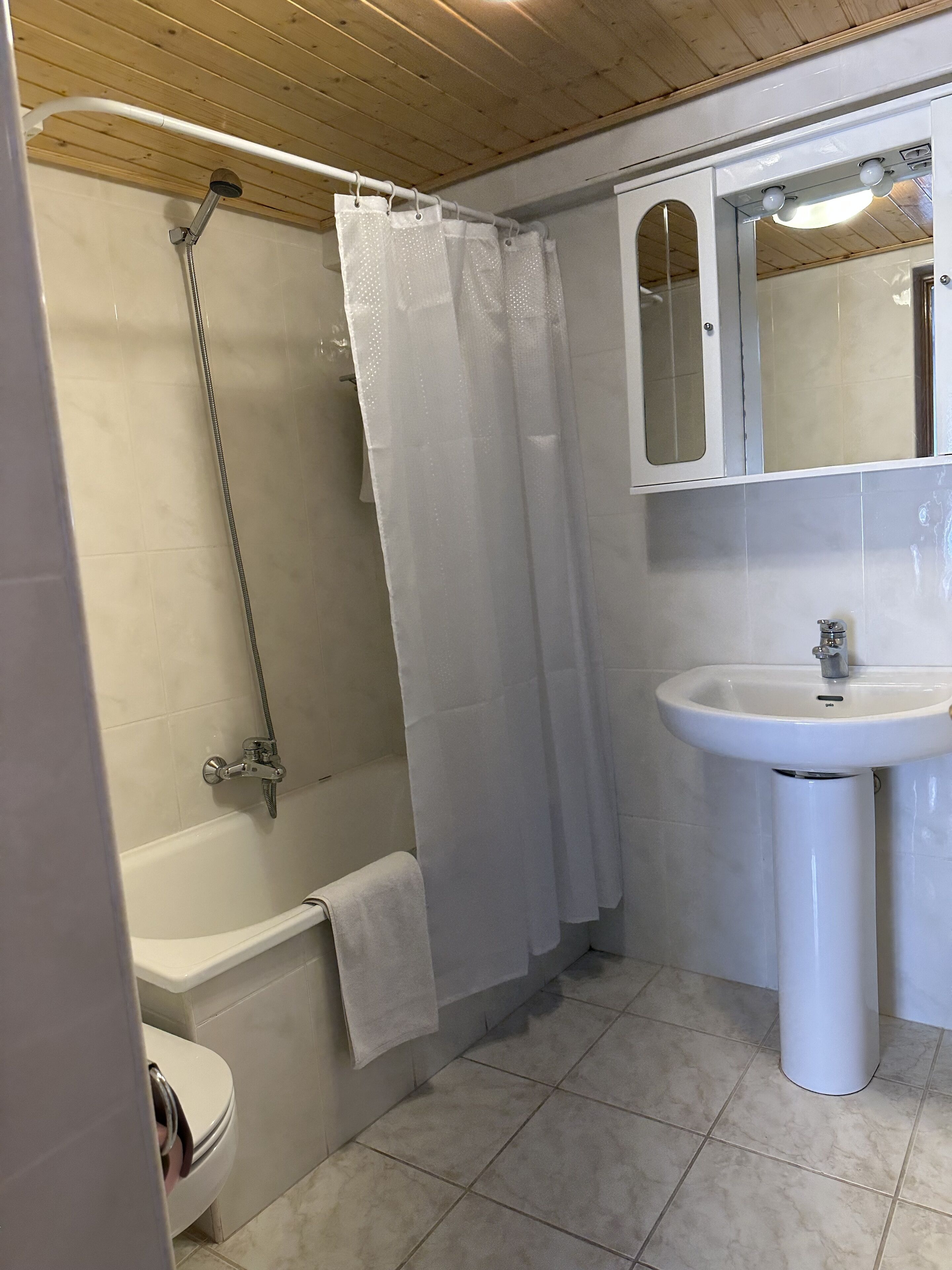 A bathroom with a bathtub, a shower, a sink, and a toilet.