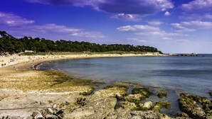 A beach with clear water, rocky shore, and a forested hill in the background. - Les Girauderies Chambres d'Hotes  (Floirac)