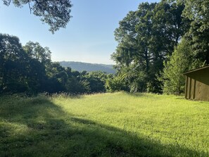 Property grounds - Secluded on a 6 acre ridge! 1 mile from Roaring River. Quiet and serene (Cassville)