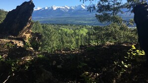 A mountainous landscape with a clear view of snow-capped peaks in the distance, surrounded by dense forest. - Birch Suite Hillside (Golden)