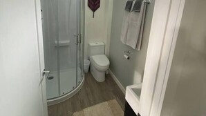 A compact bathroom with a glass shower enclosure, a toilet, and a sink. - Birch Suite Hillside (Golden)