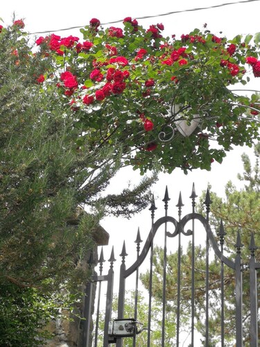 Old mountain house newly renovated.