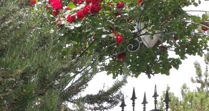 Old mountain house newly renovated.