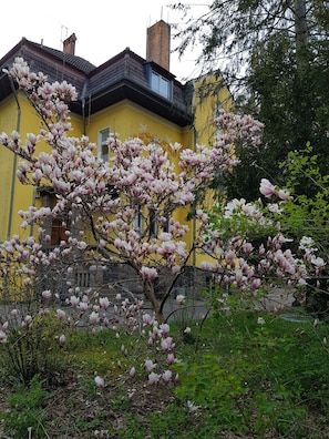 Property grounds - Villa mit 13 Schlafzimmern & Vielen Freizeitmöglichkeiten in der Schorfheide (Schorfheide)