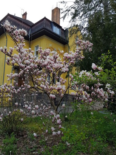 Villa mit 13 Schlafzimmern & Vielen Freizeitmöglichkeiten in der Schorfheide