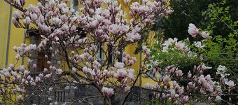 Villa mit 13 Schlafzimmern & Vielen Freizeitmöglichkeiten in der Schorfheide