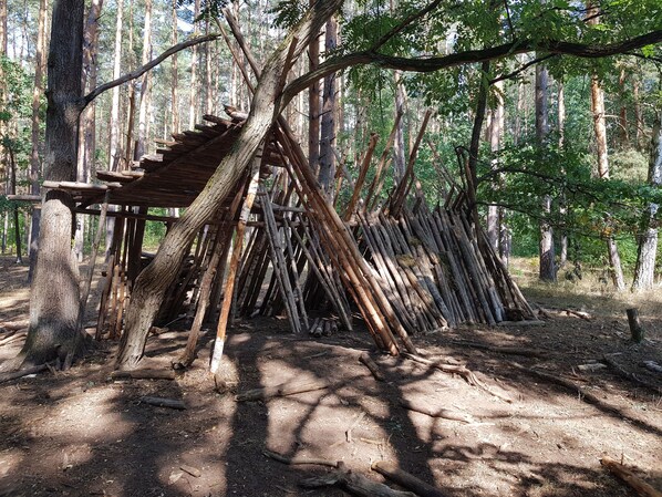 A rustic wooden structure in a forest.