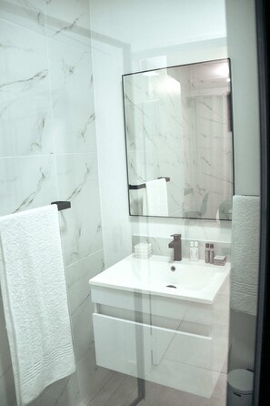 Shower, hair dryer, bidet, towels