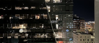 LUXURY DOWNTOWN CONDO TWO BEDROOM