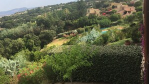 Vista desde una ladera con abundante vegetación, piscina y edificios tradicionales.