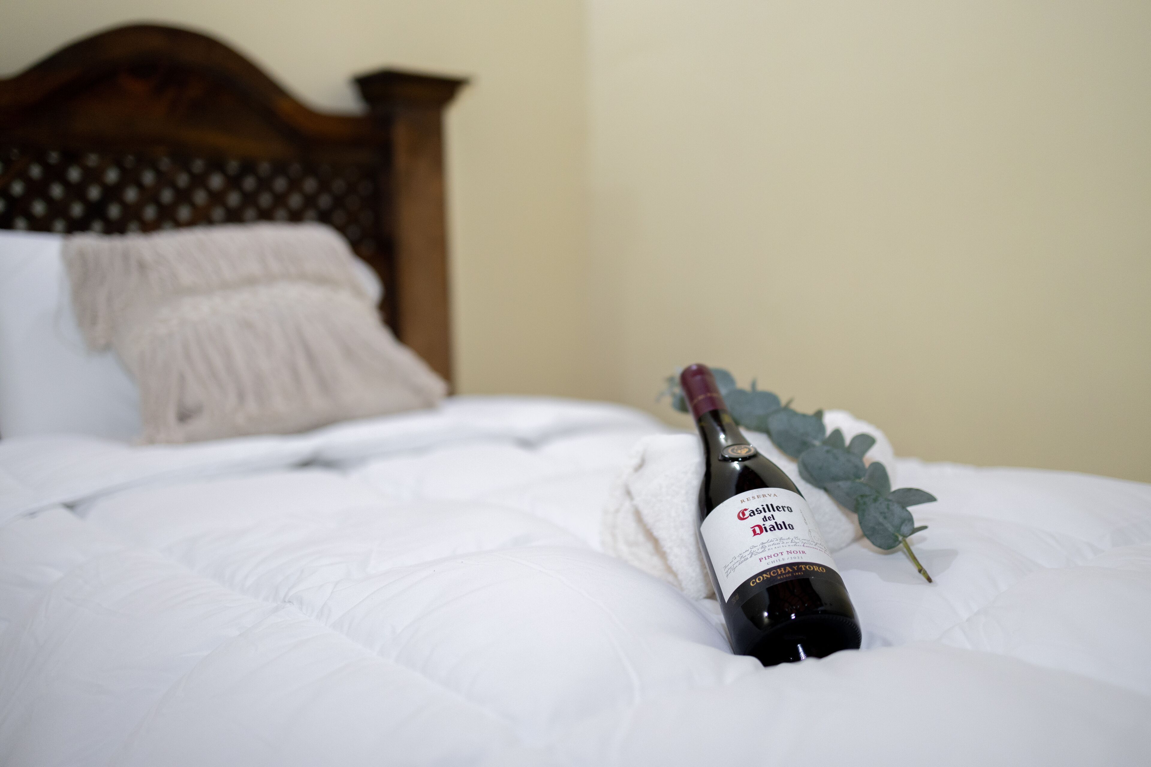 Kamar Quadruple Basic | Wi-Fi gratis