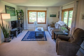 A living room with a TV, sofa, armchair, and a fan. There are windows with curtains, a bookshelf, and a potted plant.