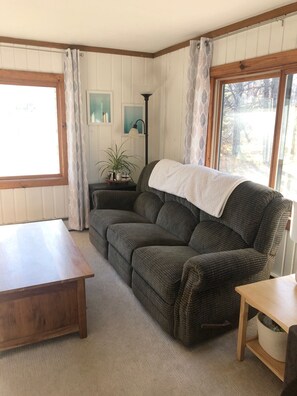 Smart TV, DVD player, books, video library