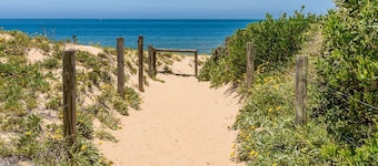 Free Night Stay this Winter* + pet friendly
